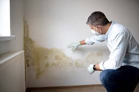 Why You Should Choose Our Mold Remediation Services in Placeholder9